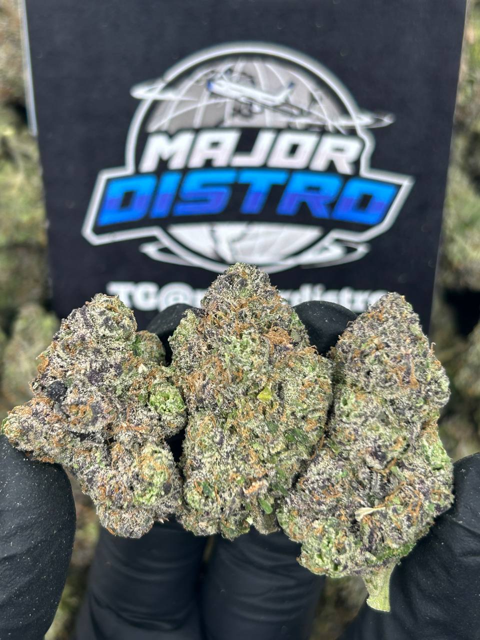 #N-CM1138 - White Cherry Runtz (Indica)