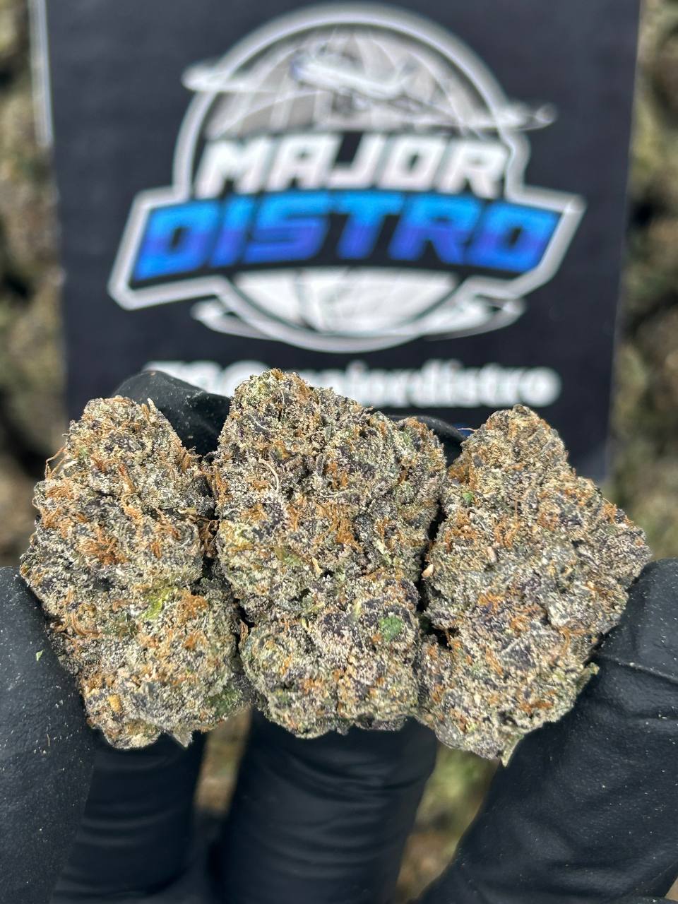 #N-EA718 - Grape Ape (Hybrid)