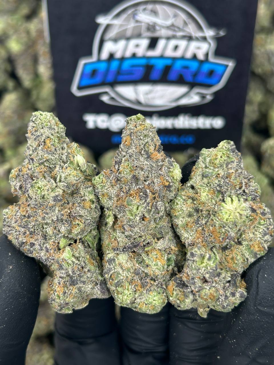 #N-EA720 - Blueberry Cruffinz (Hybrid)