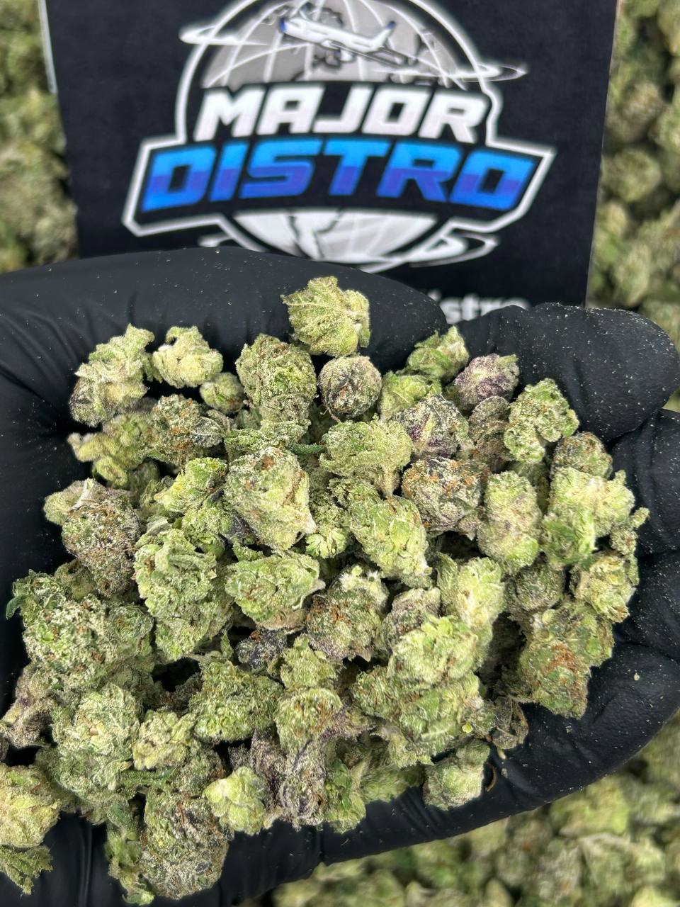 #N-ECS308 - Meloncrusher SM (Hybrid)