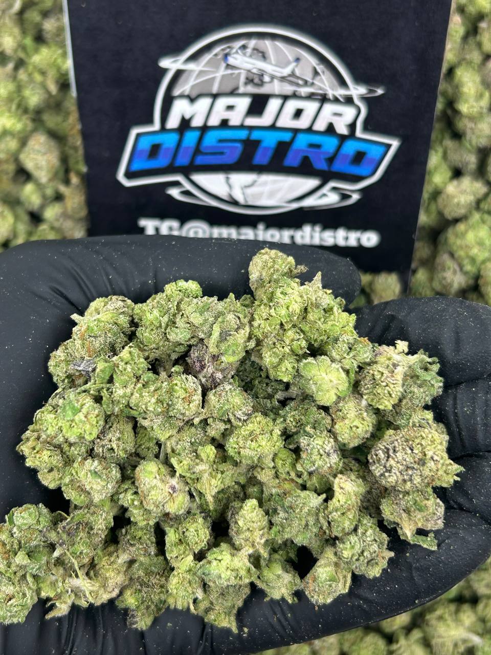 #N-ECS306 - Donny Burger SM (Indica)