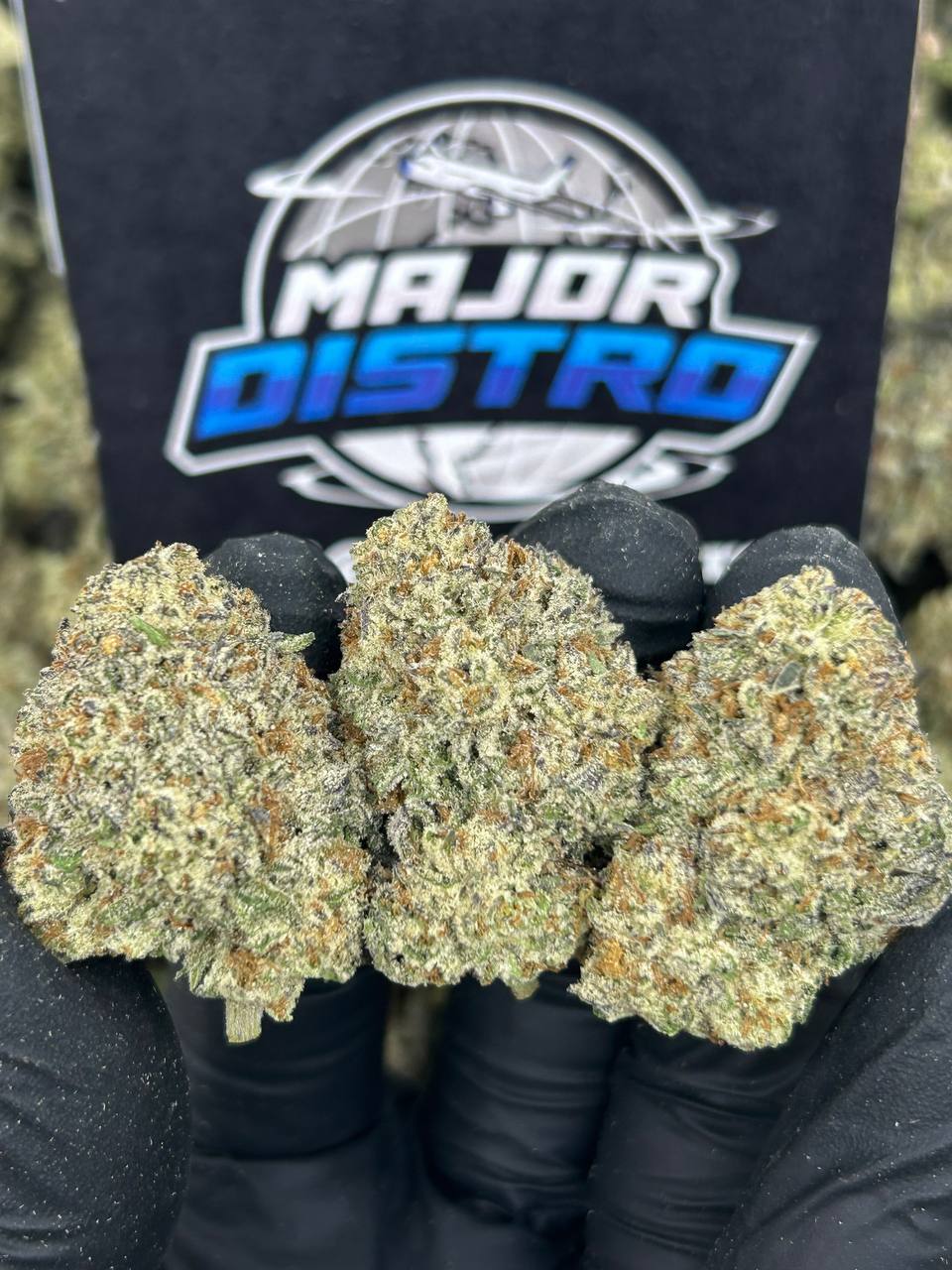 #N-EB240 - Oreo Blizzard (Hybrid)
