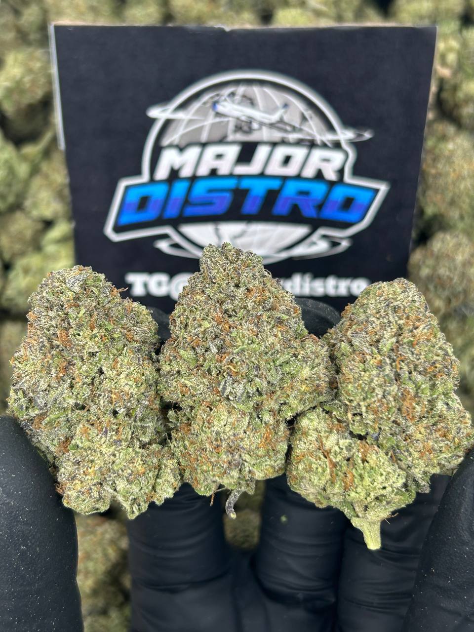 #N-EB242 - Vanilla Ice Cream (Sativa)