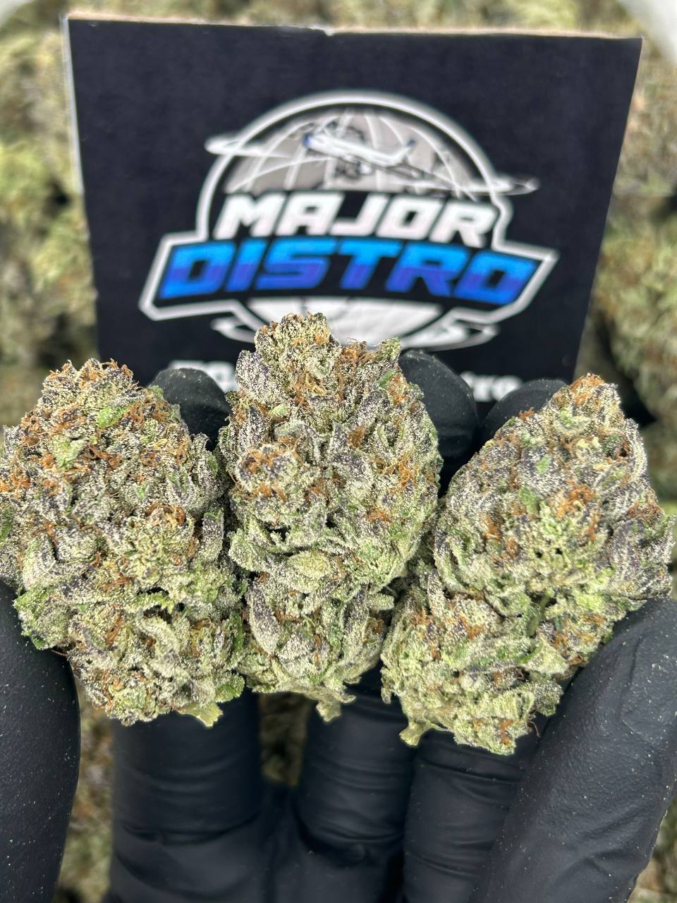 #N-EB243 - Melted Smorez (Sativa)
