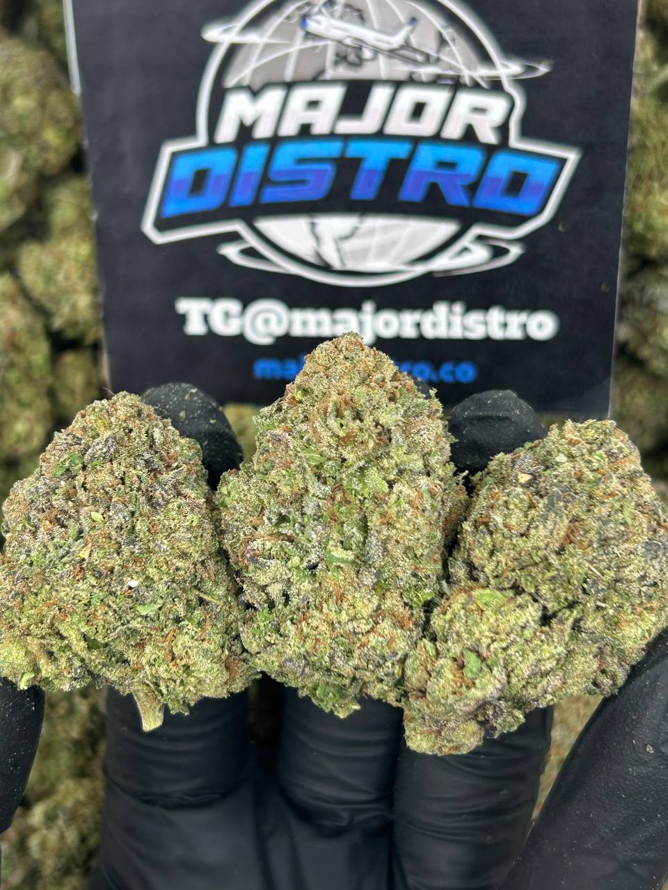 #N-EB244 - Pineapple Swirl (Sativa)