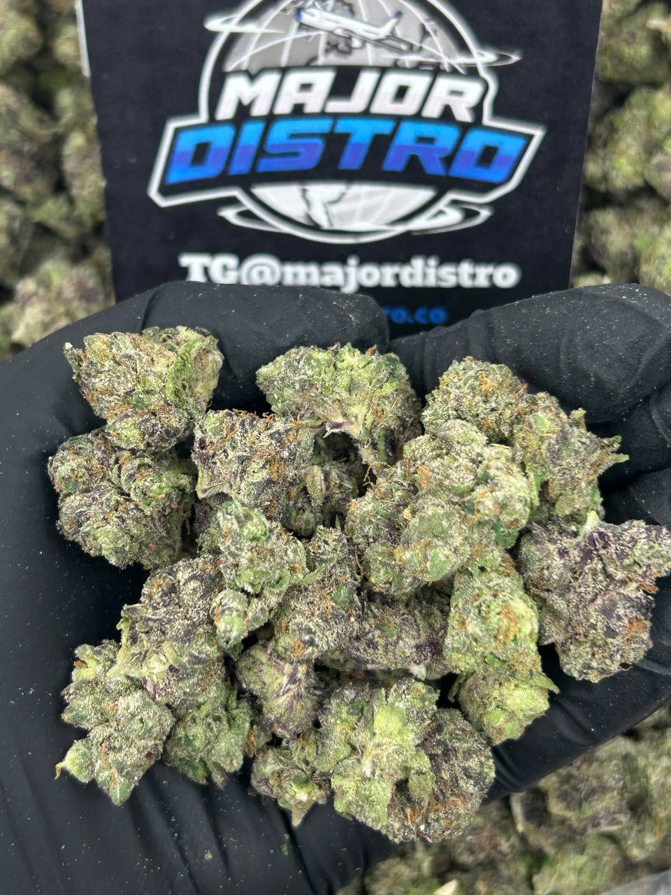 #N-EA715 - Candy Gas Mediums (Indica)
