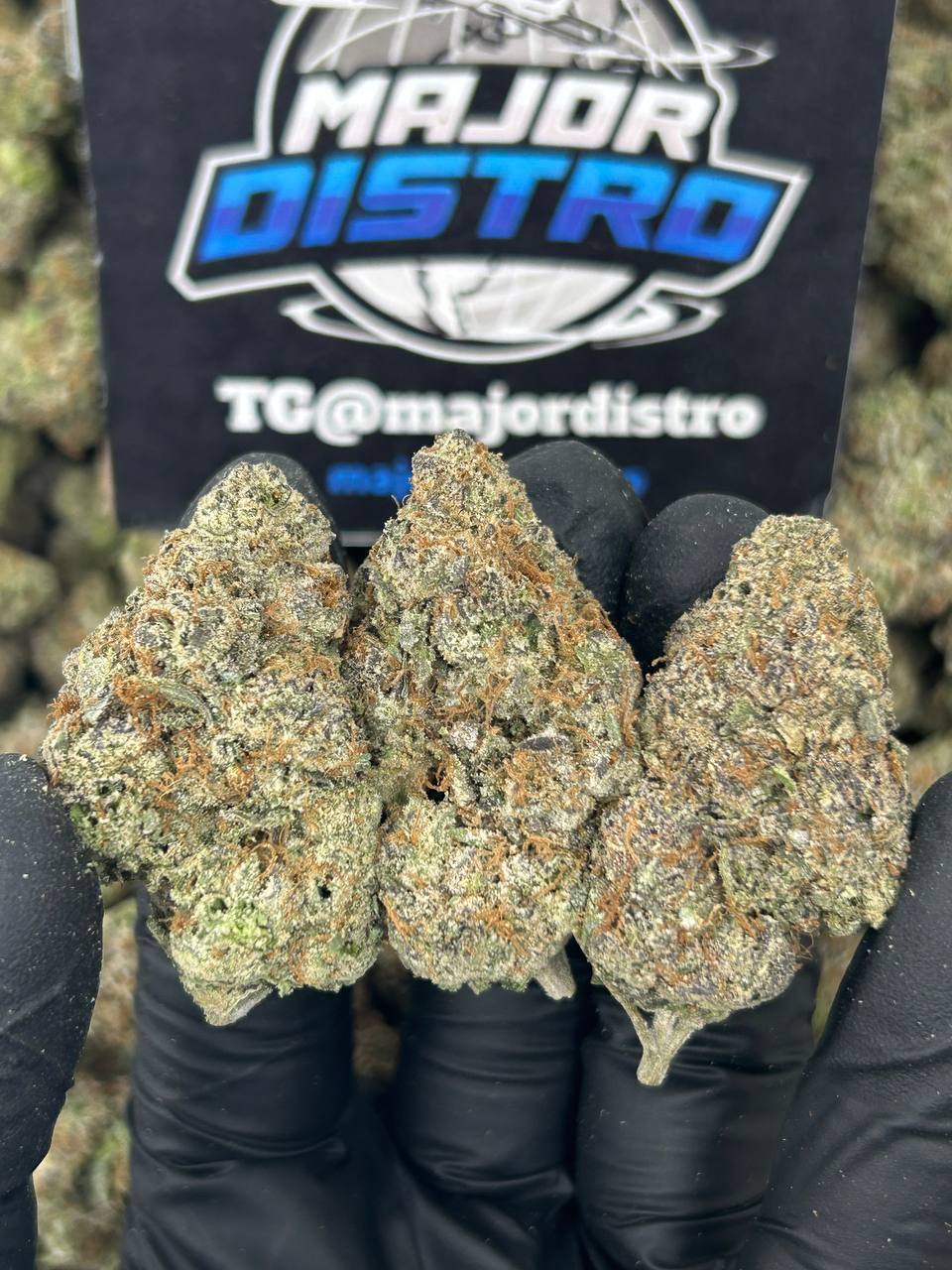 #N-CM1150 - Candy Gas (Indica)