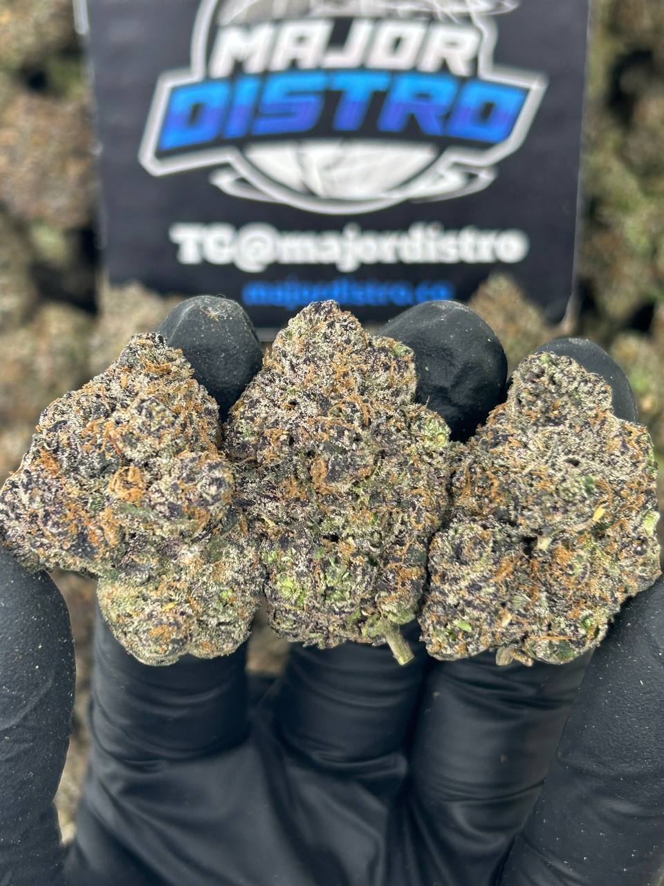 #N-CM1141 - Blueberry Bombay (Indica)