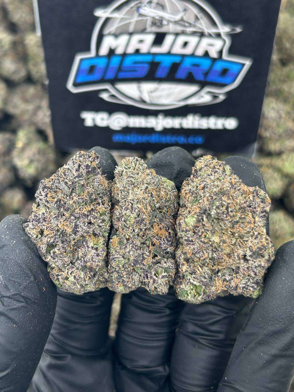 #N-CH342 - Lemon Cherry Zlush (Hybird)