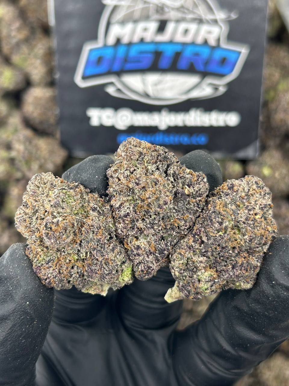 #N-CH346 - Blue Zooshi (Indica)