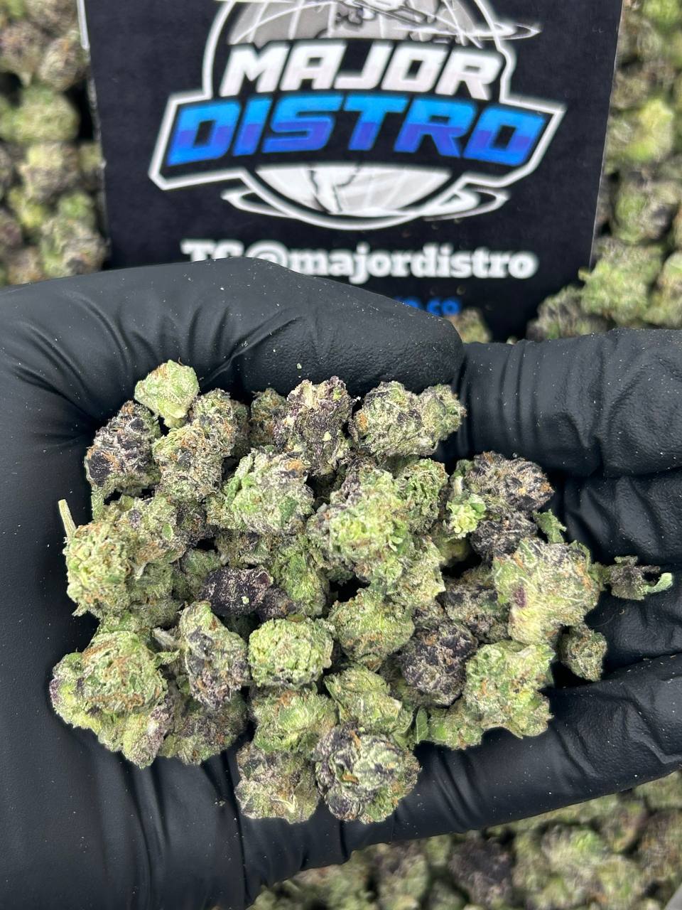 #N-ECS317 - Himalayan Candy SM (Indica)