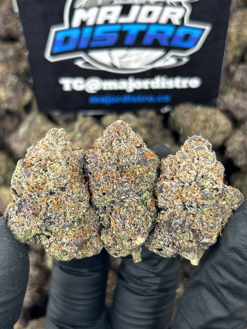 #N-CM1157 - Peach Ringz (Indica)