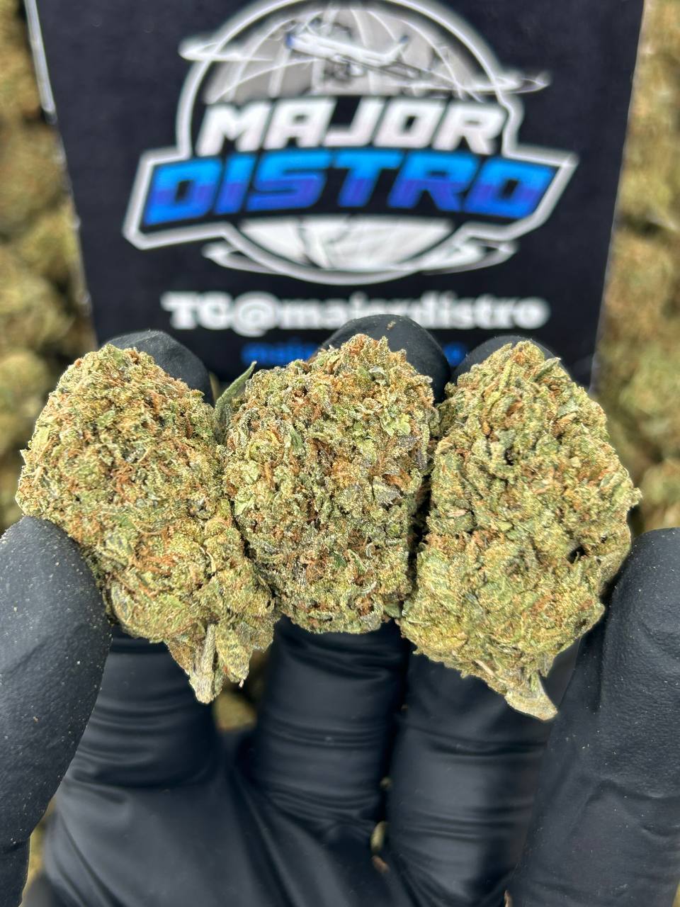 #B-EB016 - Blueberry Blizzard (Hybrid)