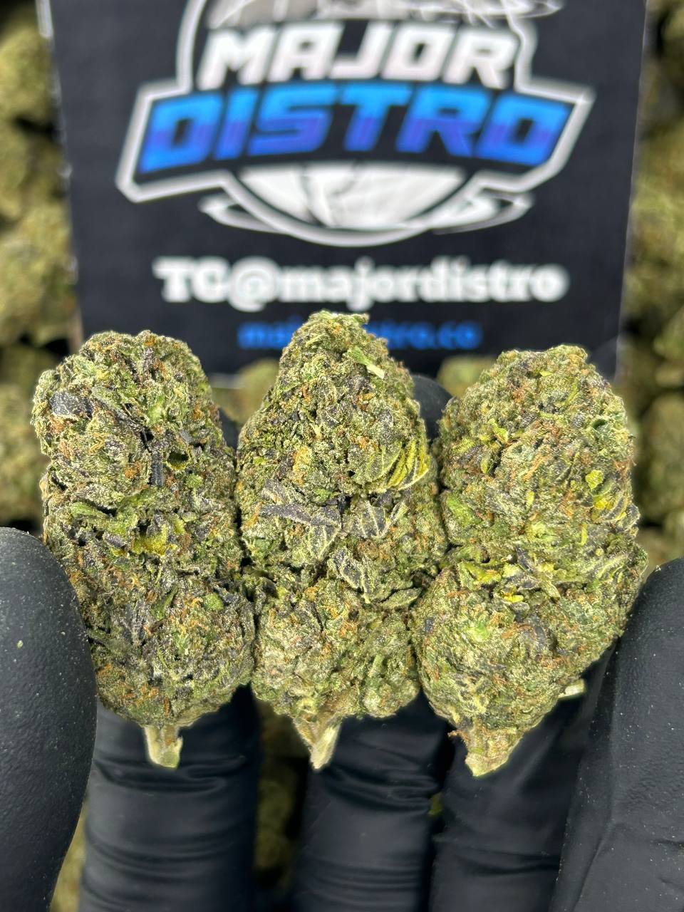 #B-EB017 - Vanilla Cruffinz (Hybrid)