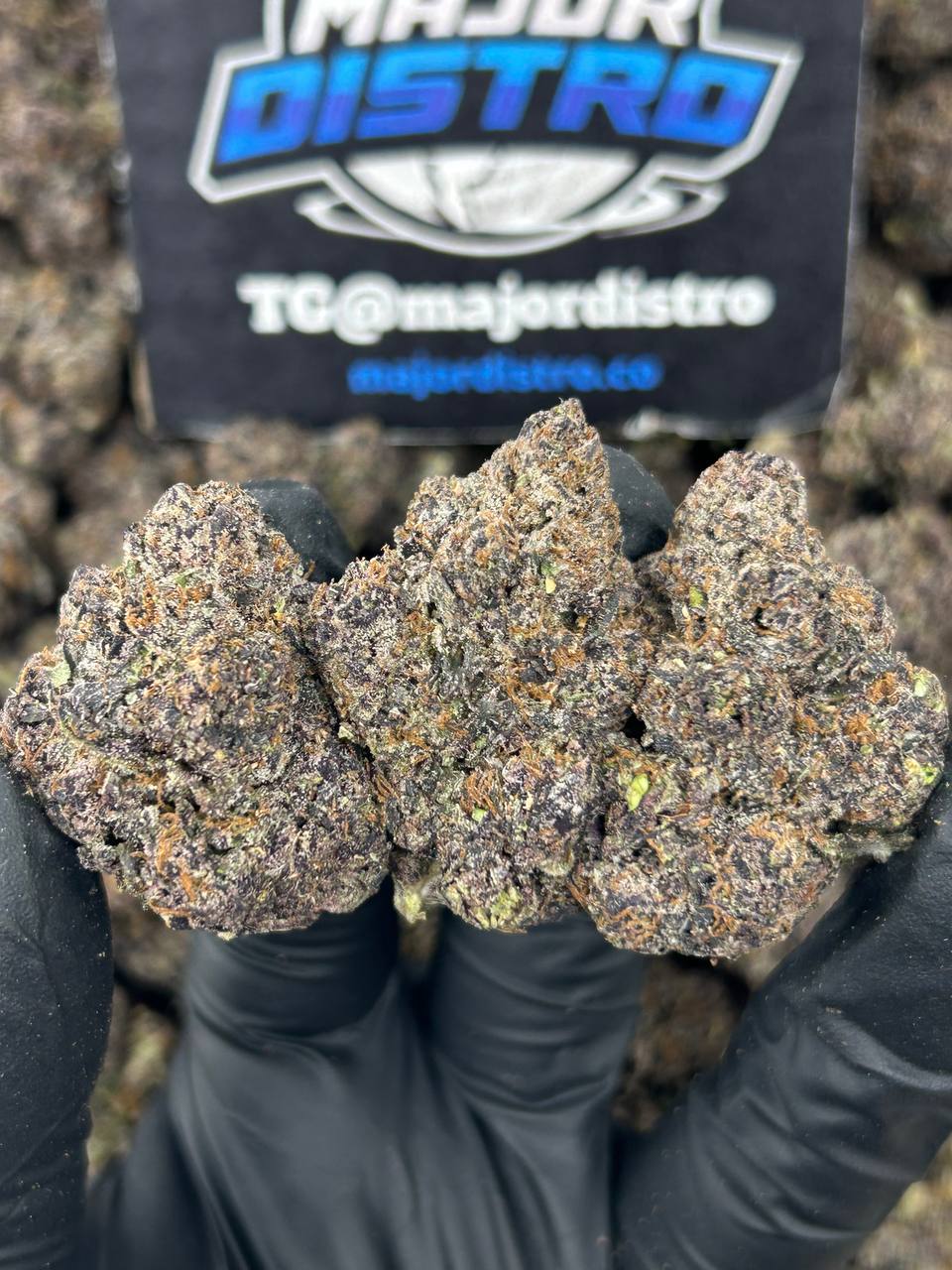 #N-CH347 - Magic Runtz (Hybrid)
