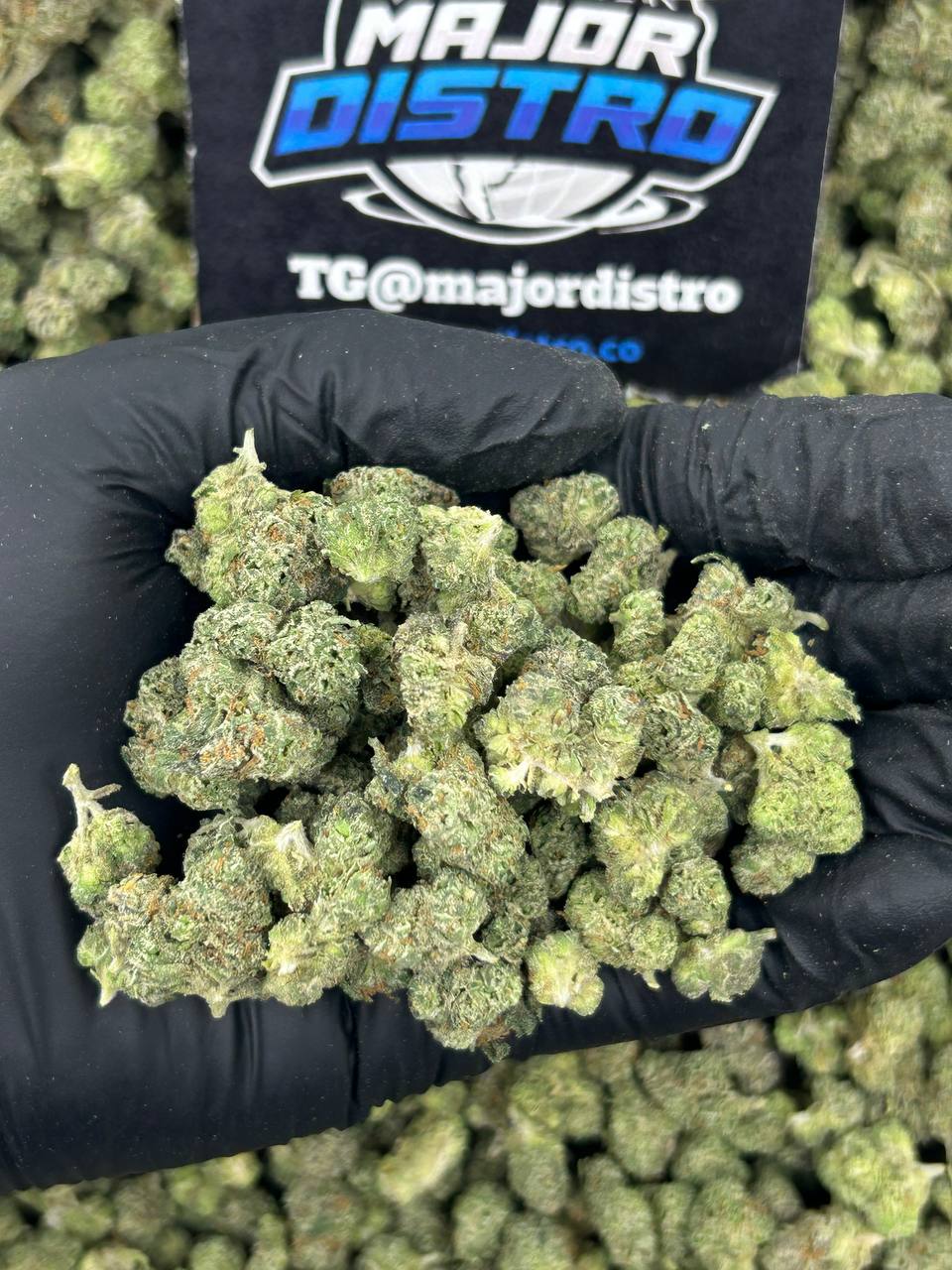 #N-ECS329 - Orange Dream SM (Indica)