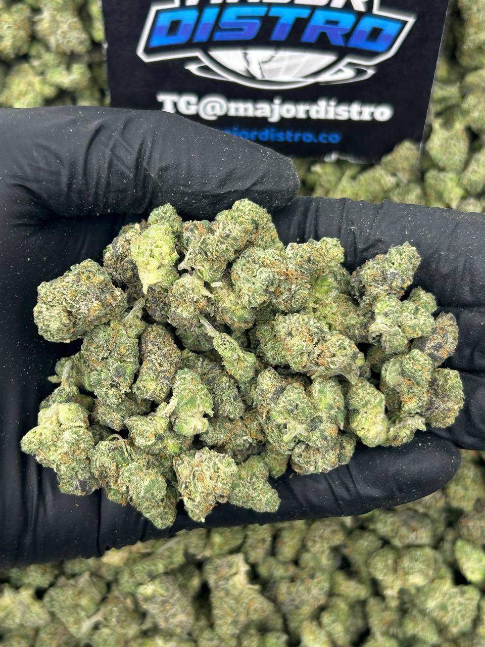 #N-ECS330 - Blue Candy SM (Indica)