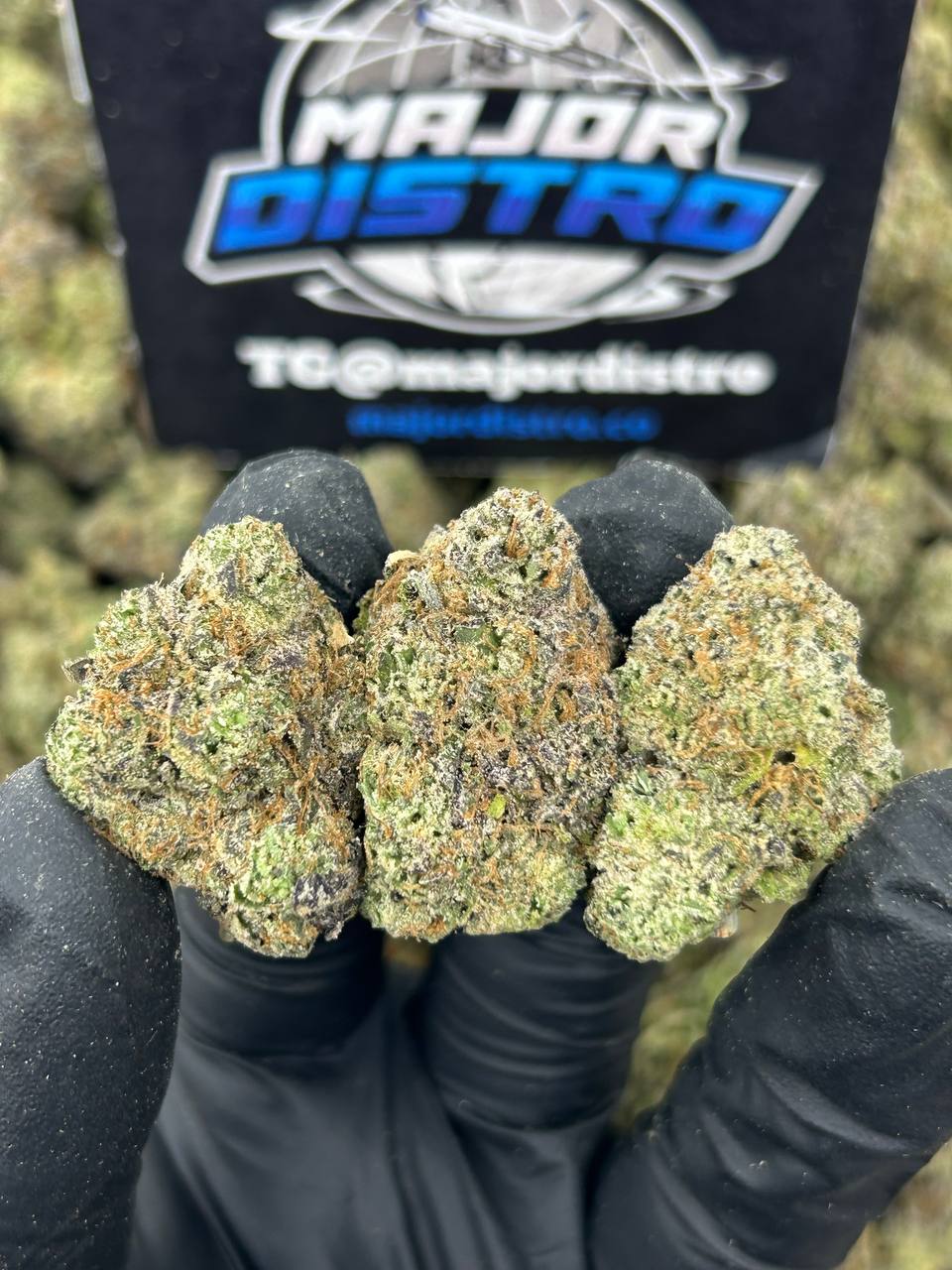 #N-EA741 - Wedding Cake (Indica)