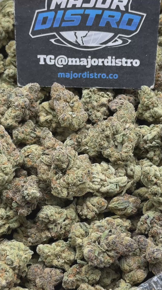 #B946 - Honey Buns (Hybrid)