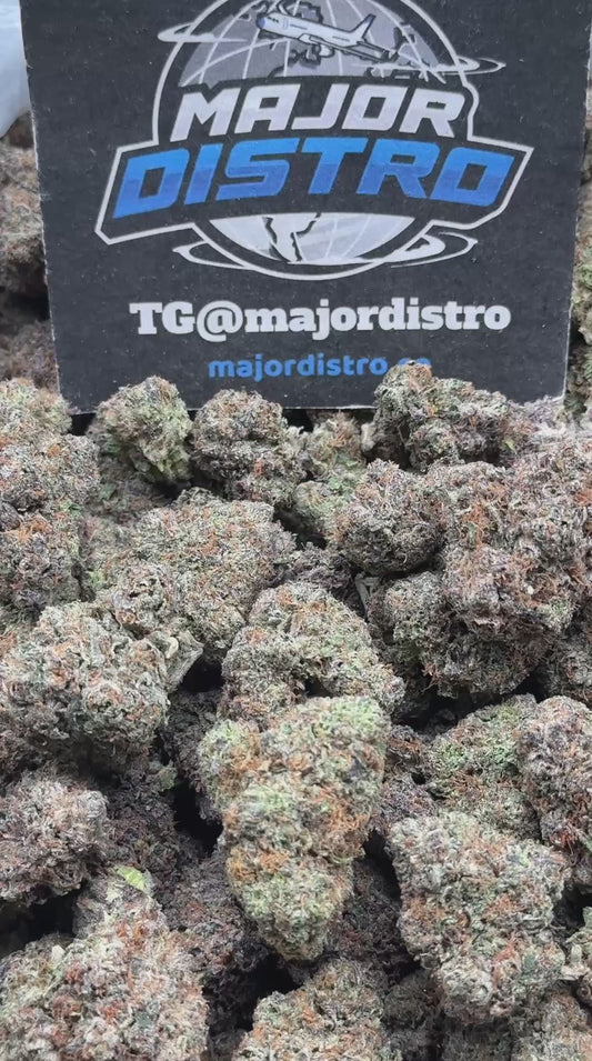 #EA086 - Pineapple Breeze (Hybrid)