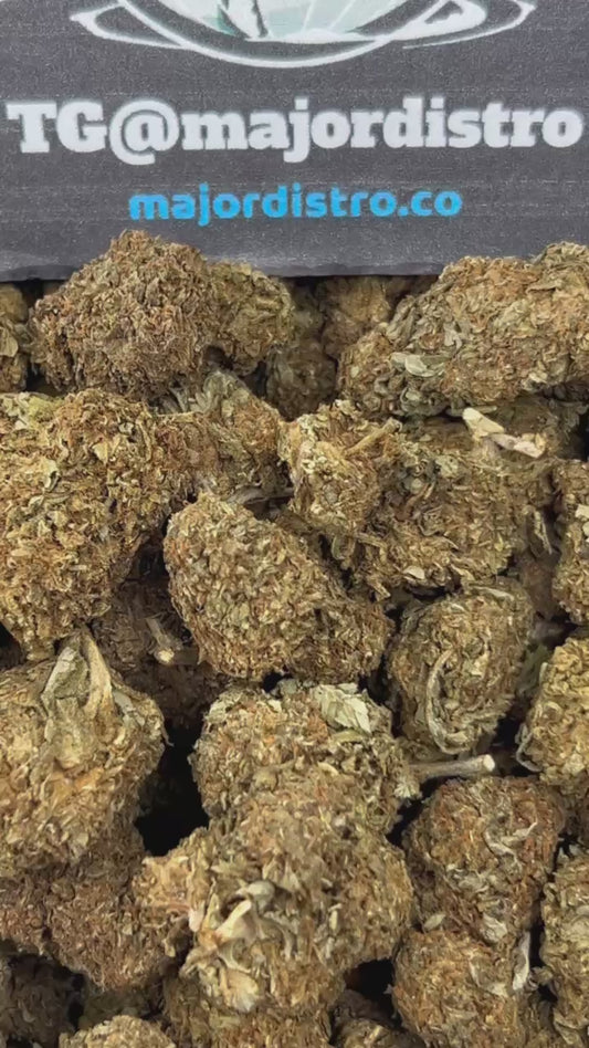 #B-EC015 - Sensi Star (Hybrid)